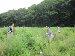 korekara