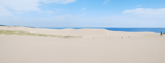 馬の背の風景