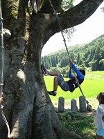 木登りするこども