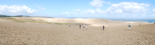 馬の背の風景