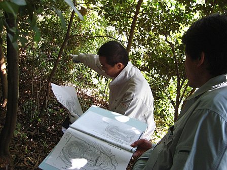 北山古墳での現地確認の様子の写真