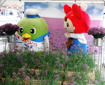 鳥取砂丘らっきょうの花フェア