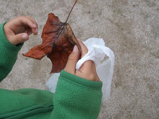 この葉っぱはフクロウにしよう
