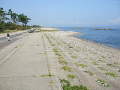 清掃後の海岸