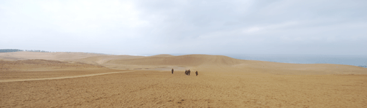 馬の背の風景