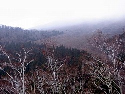 荒涼とした大山