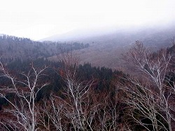 荒涼とした大山