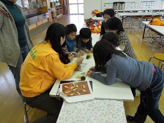マツの種の模型づくり