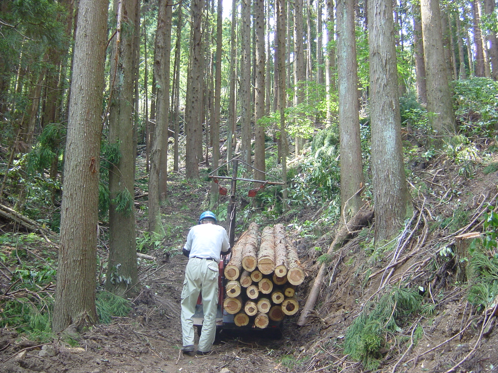 行者山作業道