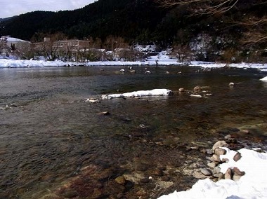 日野川の川面