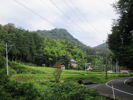 第75回県史だより とりネット 鳥取県公式サイト