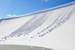 冬の砂丘10