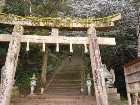 神社の実地調査の写真（その1）