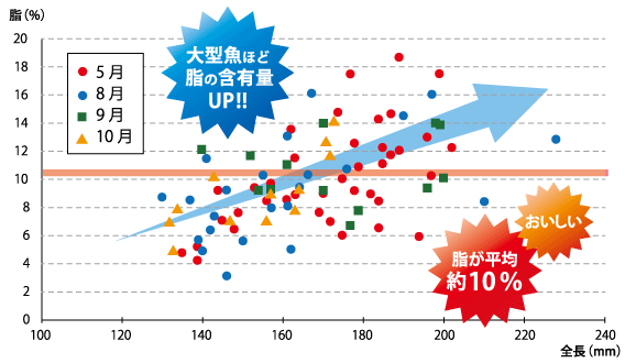 グラフ