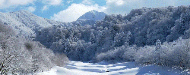 鳥取の雪