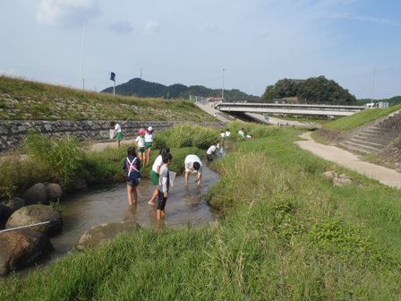 生きもの探し