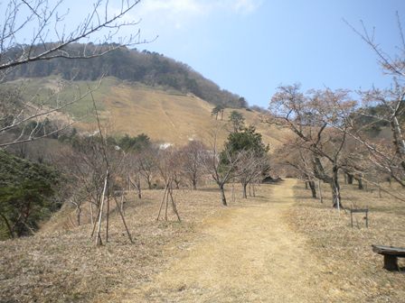 茶園原はこんな感じです。