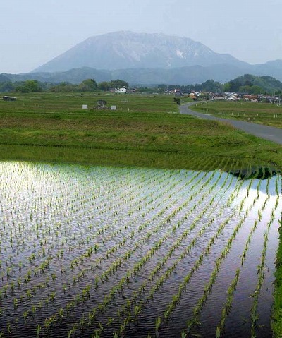 田んぼ風景