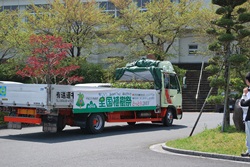 苗木出発！
