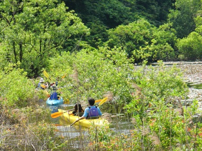 多鯰ヶ池睡蓮の花見カヌーツアー