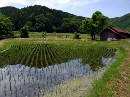 田園風景