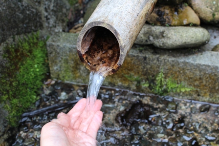 延命水の水に手をつける