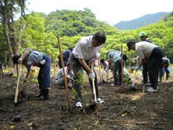 代表者植樹