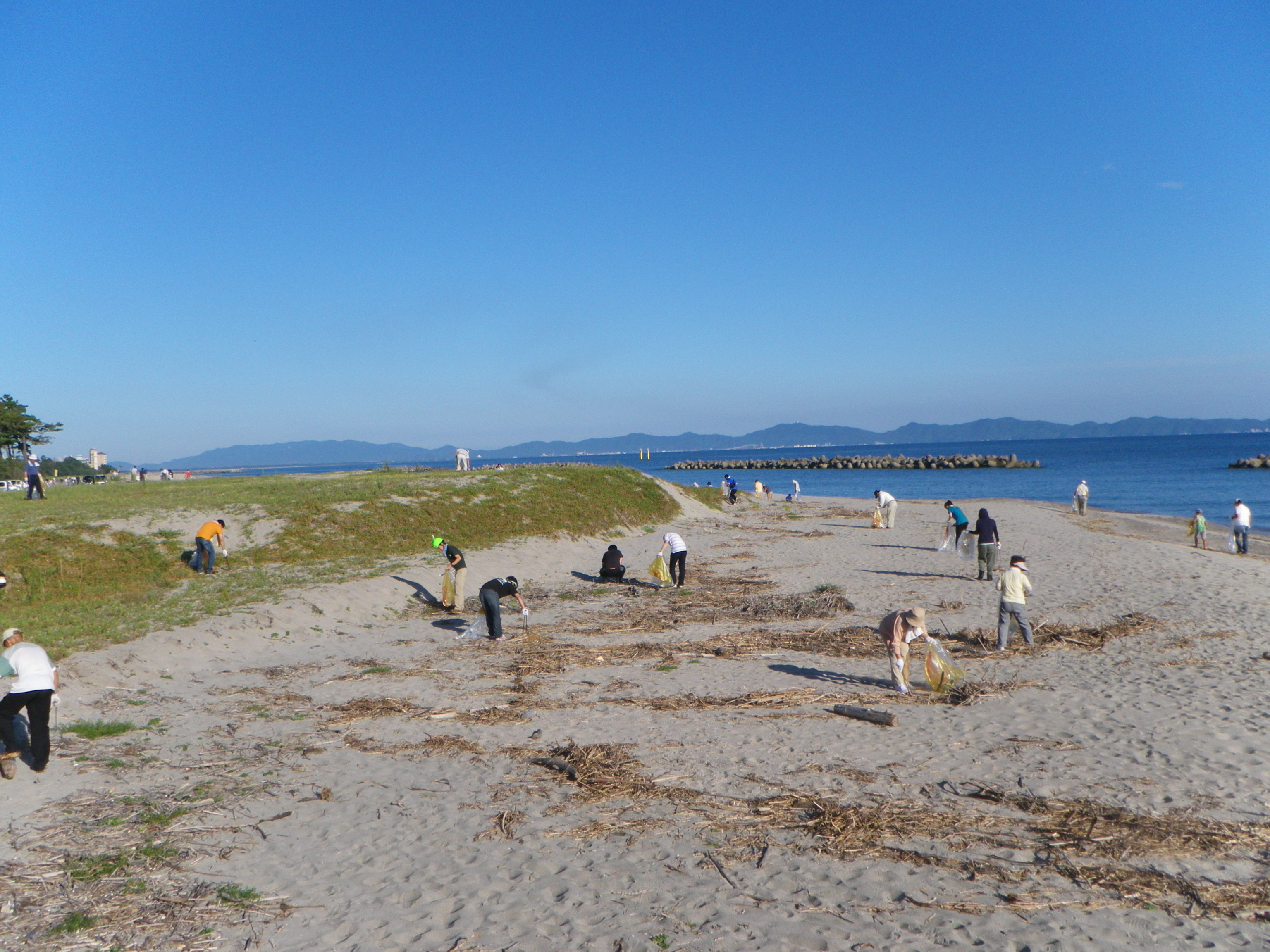 海岸の清掃をしています