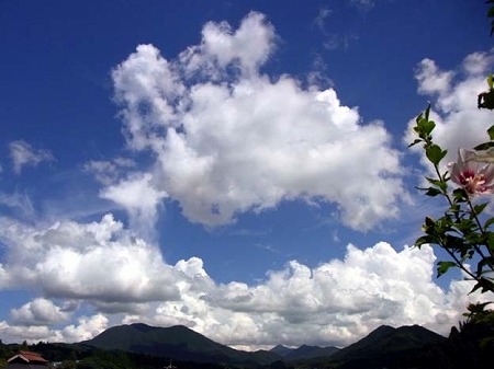 青空