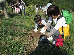 参加者植樹