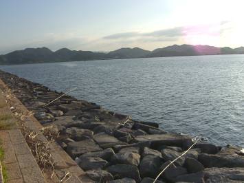 湊山湖岸
