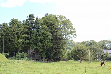 貝田神社の鎮守の森