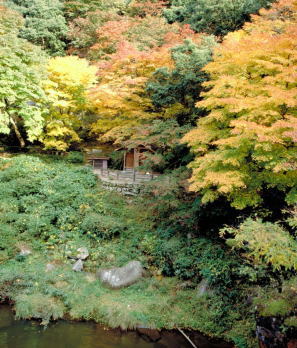 石霞渓の紅葉