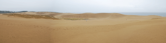 馬の背の風景　雨で湿って色濃い砂丘