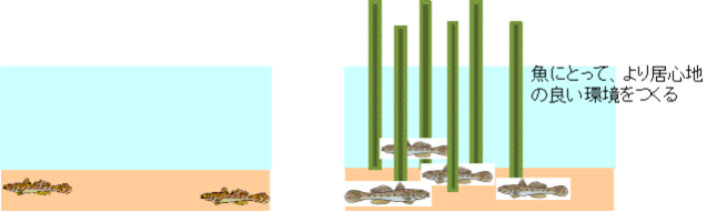 竹林礁イメージ図
