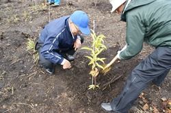 上村忠史県会議員の植樹の様子