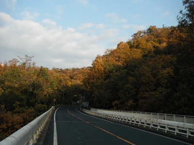 砂丘トンネル手前の紅葉