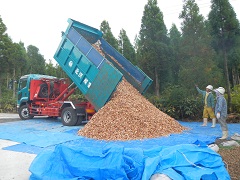 搬出された間伐材