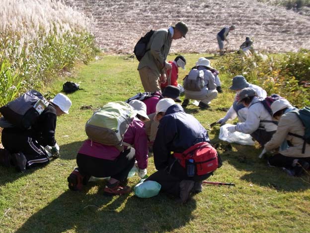 みんなで外来植物を除去