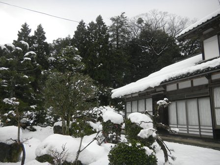 王身代家の敷地にある天皇屋敷と呼ばれる林の写真