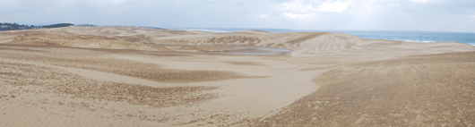 馬の背の風景　ゼブラ模様が広がっています