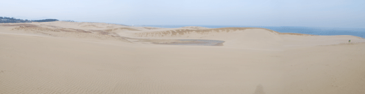 馬の背の風景　砂が乾きました