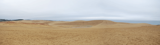 「馬の背」の風景－ところどころに、昨日の足跡が残っています