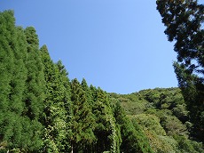 空と山