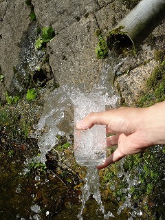 尾郷の水