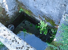 宮内の水