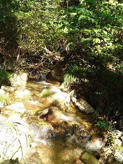 船通山登山口の水