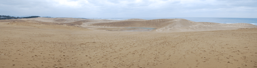 馬の背の風景　ゼブラ模様が広がっています