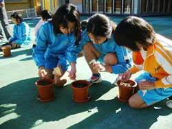 日南小学校の施肥の様子