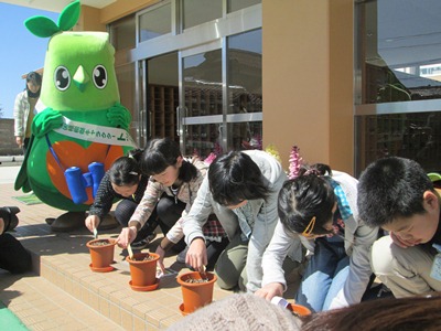 みどりの少年団が種子に肥料をやりました